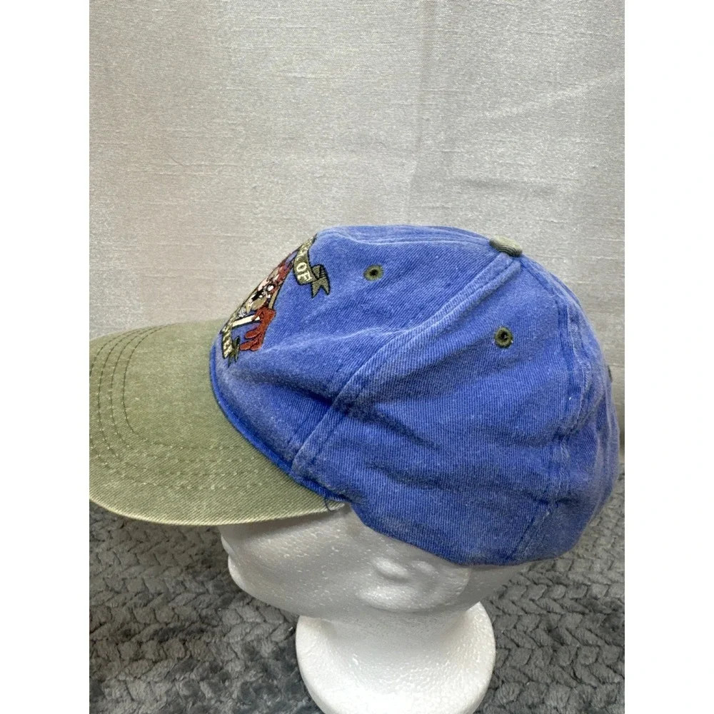 Vintage‎ 1995 Looney Tunes Taz Master of Disaster Blue Green Snapback Hat Kids